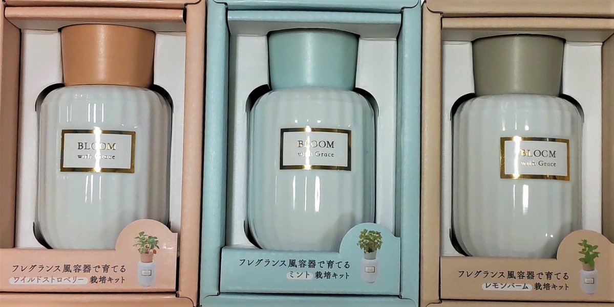 インテリア感覚でハーブを育てる🌿 BOTANICAL fragrance／ 高級感の
