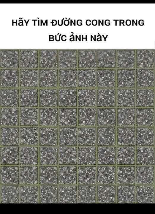 Find the curve in this picture.