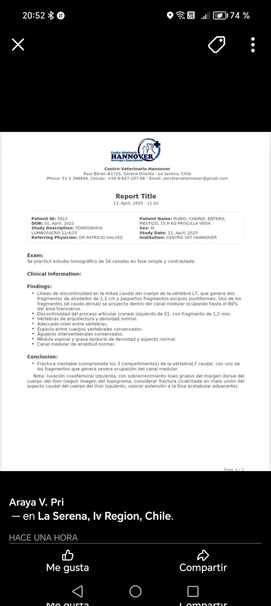 Guillermo Esquivel tweet media