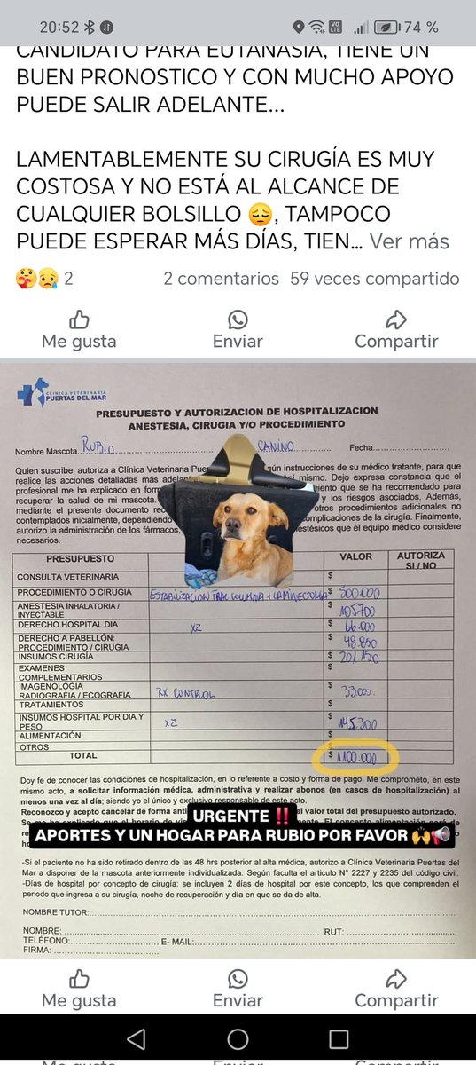 Guillermo Esquivel tweet media