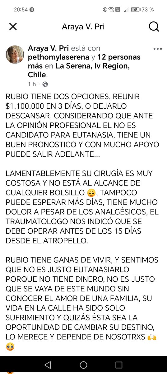 Guillermo Esquivel tweet media