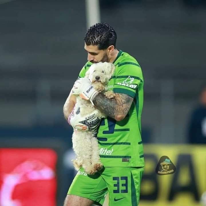 Lo vio en la cancha, asustado, corriendo sin rumbo entre jugadores y gritos. Y aunque muchos lo veían como una molestia, este portero lo vio con el corazón. 

Lo levantó con tanta ternura que el perrito, por un instante, olvidó el caos a su alrededor. Se sintió seguro, querido.