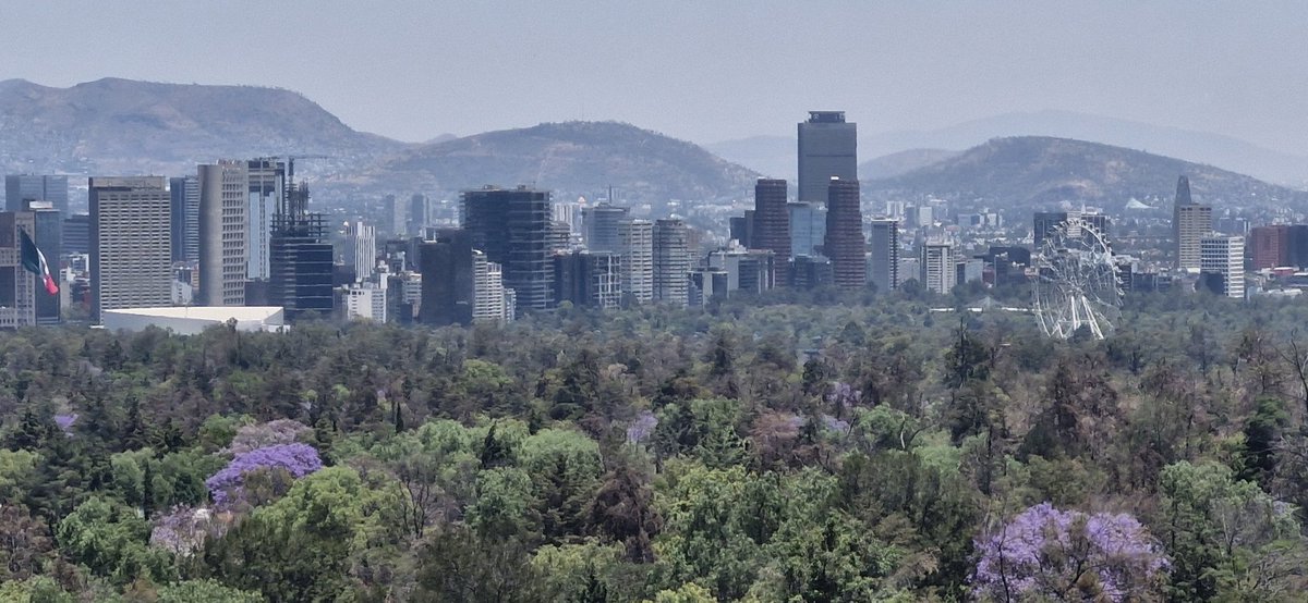 alerp83's tweet photo. Les comparto el bello skyline de CDMX con jacarandas tomada desde el cabeblus línea 3 @RicardoBSalinas @JorgeNikaidoB @MLMSalinas #JacarandaAzteca https://t.co/YUsOh7dQ33