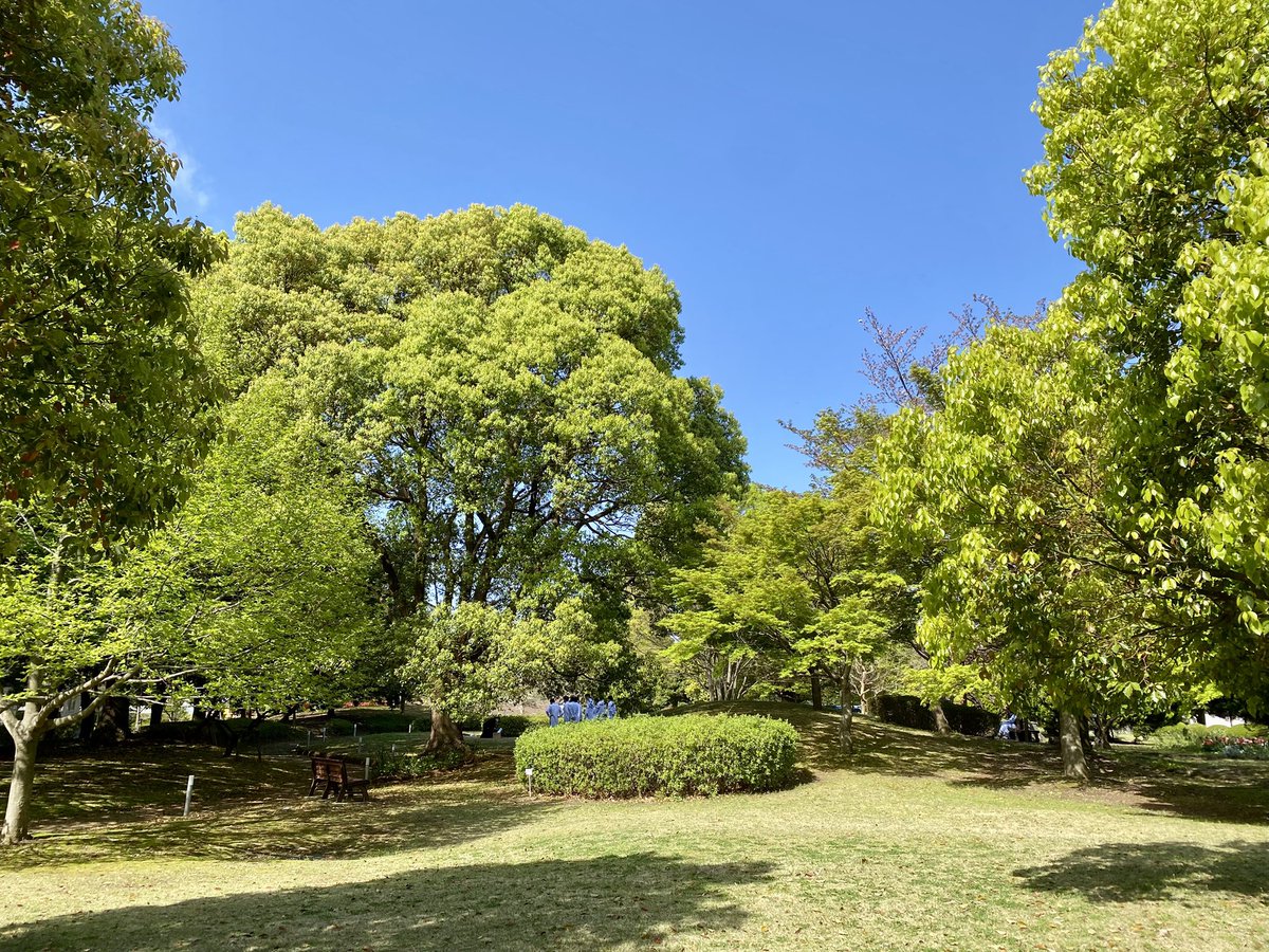 amun_cuco's tweet image. 診察終わり
造影CT検査の結果、変化なしでした。
2012年にGIST確定診断、2014年再発、2015年腹膜播種と遠隔転移して分子標的治療を開始して今年で10年。腫瘍の増殖をコントロールできていることに感謝。
一日ずつ重ねていけますよう。
病院の中庭は息吹があふれ出ていた🌱春です🌿
#GIST #希少がん