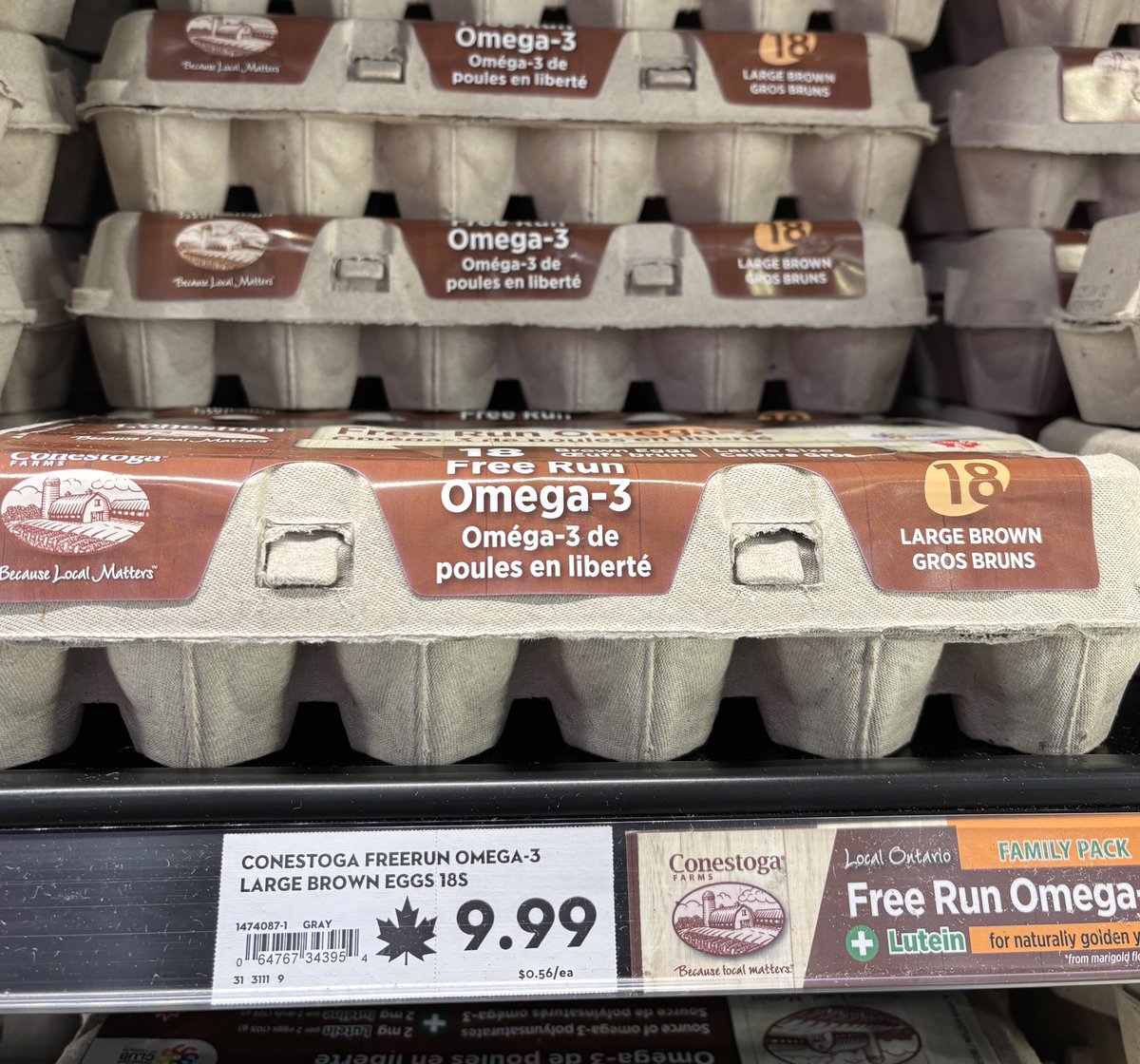 EffieGib's tweet image. Last week these eggs cost $8.49, they are now $9.99!!
Why? What’s the reason? 
They’re Canadian eggs, they do NOT come from the US, there are NO tariffs on them. 
Can someone please explain this to me?