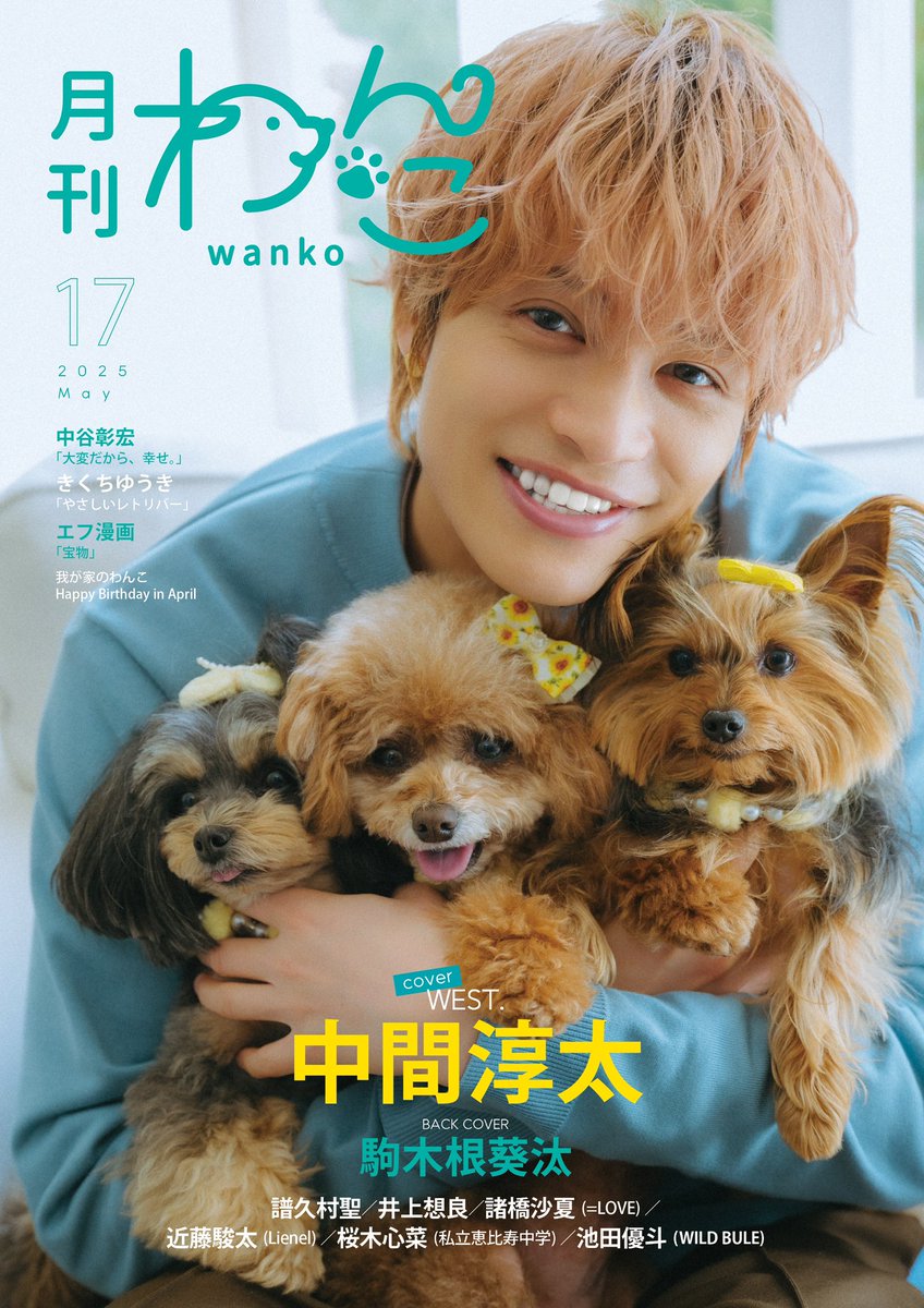 gekkan_wanko's tweet photo. 【発売日】月刊わんこvol.17本日発売！🐶🐶🐶💛Getできた方は表紙（or裏表紙or目次）の写真を撮ってポストお願いします📸 ※Amazonレビューもよろしくお願いします⭐️⭐️⭐️⭐️⭐️ 

【取り扱い書店一覧🐶】 
※入荷日は店舗によって異なります（1週間前後、入荷が遅れる場合がございます）在庫状況は、各書店様へお問い合わせお願いいたします🙇‍♀️

・���伊國屋書店新宿本店/東京
・TSUTAYABOOKSTORE恵比寿ガーデンプレイス店/東京
・書泉ブックタワー/東京千代田区
・書泉グランデ/東京千代田区
・オリオン書房 イオンモールむさし村山店/東京
・有隣堂アトレ大井町店/東京都品川区
・はた書店/東京都中野区
・文禄堂　高円寺店/東京
・椿書房/東京都江戸川区
・ジュンク堂書店池袋店/東京
・紀伊國屋書店横浜(SOGO)店/横浜
・紀伊國屋書店西武東戸塚SC店/横浜
・有隣堂横浜駅西口店/横浜
・Booksえみたす大口店/横浜
・丸善横浜みなとみらい店/横浜市
・丸善ラゾーナ川崎店/神奈川
・有隣堂川崎店/神奈川
・くまざわ書店本厚木店/神奈川
・有隣堂藤沢店/神奈川県藤沢市
・サクラ書店 ラスカ平塚店/神奈川県
・ACADEMIAイーアスつくば店/茨城
・函館 蔦屋書店/北海道
・岡書帯広イーストモール店/北海道
・ザ本屋さん白樺コロニー/北海道帯広市
・金入��田店/青森県上北郡おいらせ町　
・くまざわ書店鶴岡店/山形
・ブックスなかだ イオンかほく店/石川
・紀伊國屋書店金沢大和店/石川
・あゆみBooks　仙台一番町店
・ヤマト屋書店仙台三越店/宮城
・ヤマト屋書店東仙台店/宮城
・ヤマト屋書店仙台長命ヶ丘店/宮城
・岩瀬書店ヨークベニマル福島西店/福島
・文真堂書店小出店/群馬県前橋市
・戸田書店藤岡店/群馬
・笠原書店 岡谷本店/長野県
・紀伊國屋書店 さいたま新都心店/埼玉
・宮脇書店ヨーカドー三郷店/埼玉
・ブックファースト川越ルミネ店/埼玉
・旭屋書店新越谷店/埼玉
・宮脇書店朝霞店/埼玉
・紀伊國屋書店流山おおたかの森店/千葉
・三省堂SOGO店/千葉県千葉市
・ときわ書房志津ステーションビル店/千葉県佐倉市
・TSUTAYABOOKSテラスモール松戸/千葉県松戸市
・蔦屋書店 茂原店/��葉県茂原市
・柳正堂書店イオンタウン山梨中央店/山梨
・ブックスなかだ掛尾本店/富山県
・BOOKSえみたす アピタ江南西店/愛知県���南市
・こみかるはうすベルコート店/愛知県尾張旭市
・こみかるはうす新瀬戸店/愛知県瀬戸市
・こみかるはうす藤が丘駅前店/愛知県名古屋市
・こみかるはうす名西店/愛知県名古屋市
・こみかるはうす小牧店/愛知県小牧市
・こみかるはうす大口店/愛知県丹羽郡大口町
・こみかるはうす可児店/岐阜県可児市
・こみかるはうす各務原鵜沼店/岐阜県各務原市
・こみかるはうす関店/岐阜県関市
・別所書店修成店/三重県津市
・ハイパーブックス駒井沢店/滋賀県草津市
・平和書店アルプラザ近江八幡店/滋賀県近江八幡市
・大垣書店イオンモールKYOTO店/京都市
・宮脇書店木津川店/京都府木津川市
・紀伊國屋書店 梅田本店/大阪
・紀伊國屋書店 グランフロント大阪店
・紀伊國屋書店　高槻阪急スクエア店/大阪
・ぶっく工房河内長野店/大阪府河��長野市
・喜久屋書店橿原店/奈良県橿原市
・喜久屋書店神戸北町店/兵庫県神戸市
・ジュンク堂書店明石店/兵庫県明石市
・文林西村書店/兵庫県西脇市
・喜久屋書店倉敷店/岡山県倉敷市
・TSUTAYA AZ岡南店/岡山県岡山市
・津山ブックセンター真庭店/岡山県
・エディオン蔦屋家電/広島県広島市
・平惣阿南センター店/徳島県阿南市
・丸善博多店/福岡県福岡市
・白石書店　ゆめタウン遠賀店/福岡県
・蔦屋新八代松江店/熊本県八代市
・くまざわ書店延岡店/宮崎県延岡市
・HMV＆BOOKS　OKINAWA/沖縄県浦添市
他

〈書店専用 ご注文先〉
取次：西村書店 03-5879-7687

お近くに書店のない方はAmazonをご利用ください！🐕

月刊わんこvol.17　
Amazon：https://t.co/CRzkBlWi5u