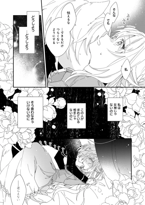 (11/11) 