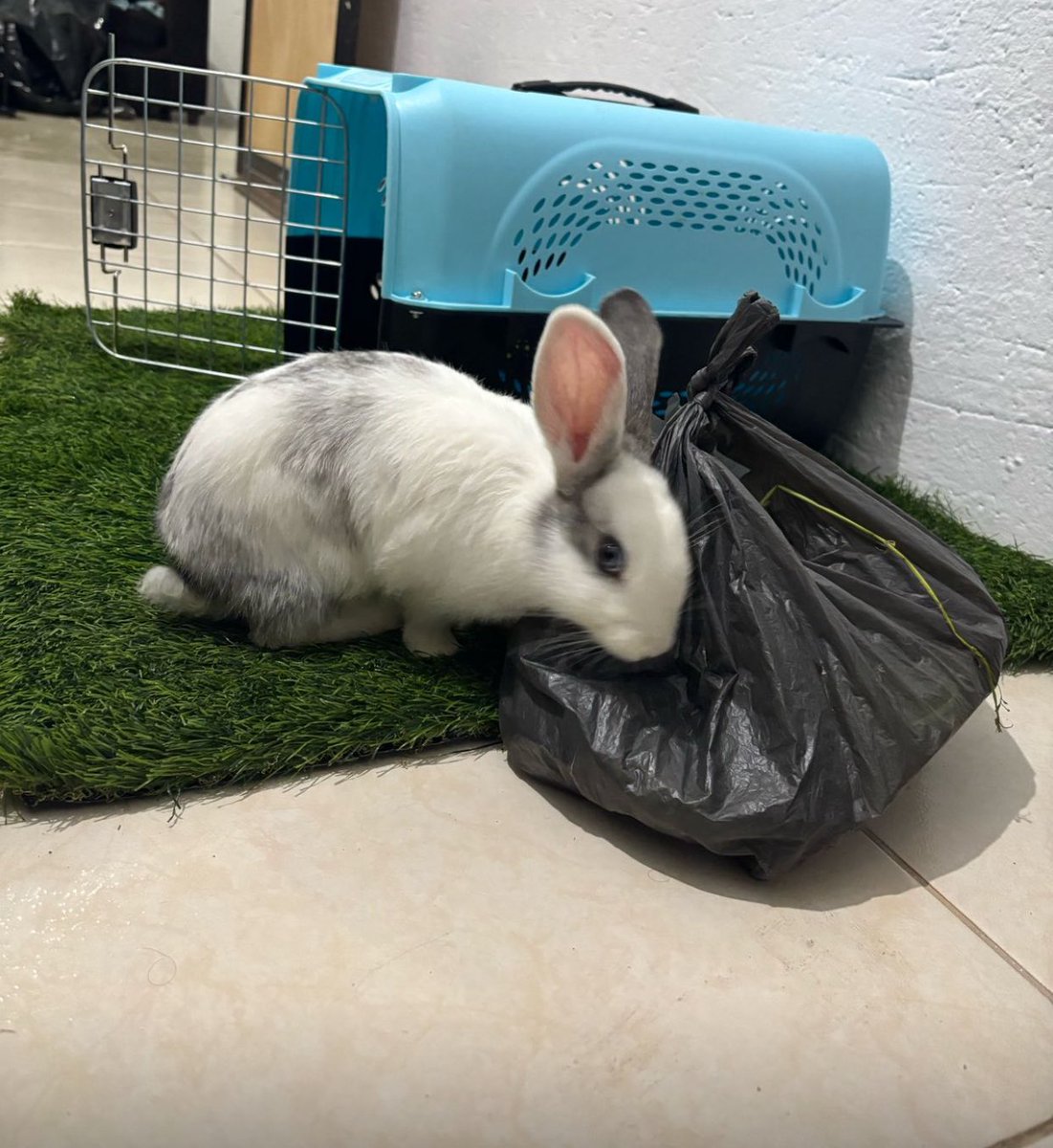 romiさん専用ページ SUPREME×ANTIHERO(シュプリーム×アンタイヒーロー) 22SS Work