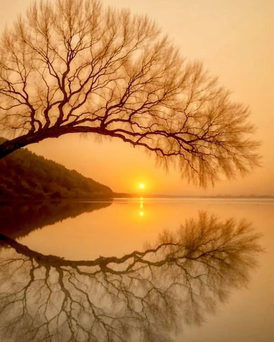 At every dusk, nature gives us moments of priceless beauty. The reflection of the trees in the water adds to the magic of this atmosphere. #Nature #Peace #Beauty #NaturePhotography #NatureLovers