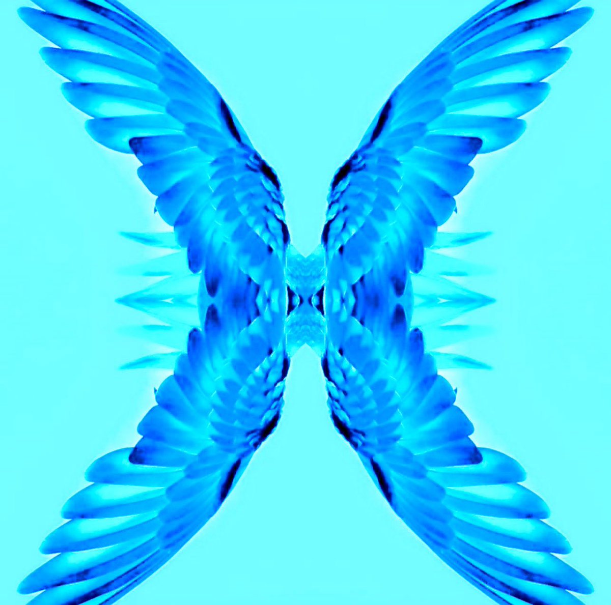 Archangel GABRIEL tweet media