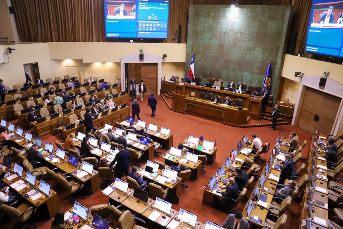 tvalenzuelavt's tweet photo. Quiero agradecer a las diputadas y los diputados, @Camara_cl, que aprobaron la creación del Servicio Nacional Forestal #SERNAFOR que viene a reforzar la @conaf_minagri #Seguimos con la tramitación de esta nueva institucionalidad pública en los próximos días en el @Senado_Chile
@AidaBaldini