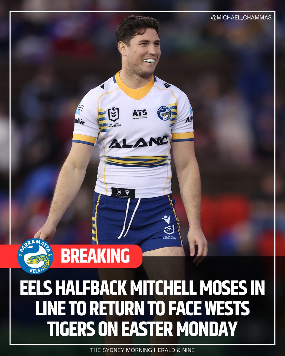 Michael Chammas tweet media