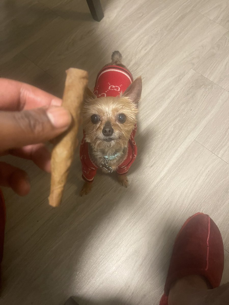 Trillwill55's tweet photo. Yes Kali it is a treat https://t.co/LplqMoDW0h