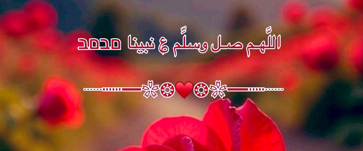 أصبحنا وأصبح الملك لله رب العالمين
بداية يوم جديد، ركعتي الفجر خير من الدنيا وما فيها، الحمدالله 🌺