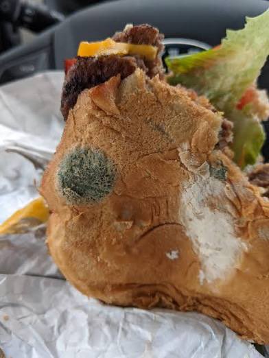 n1k1s_son's tweet photo. @Wendys @PopCrave Can we send back your moldy burgers https://t.co/52tSU37E7g