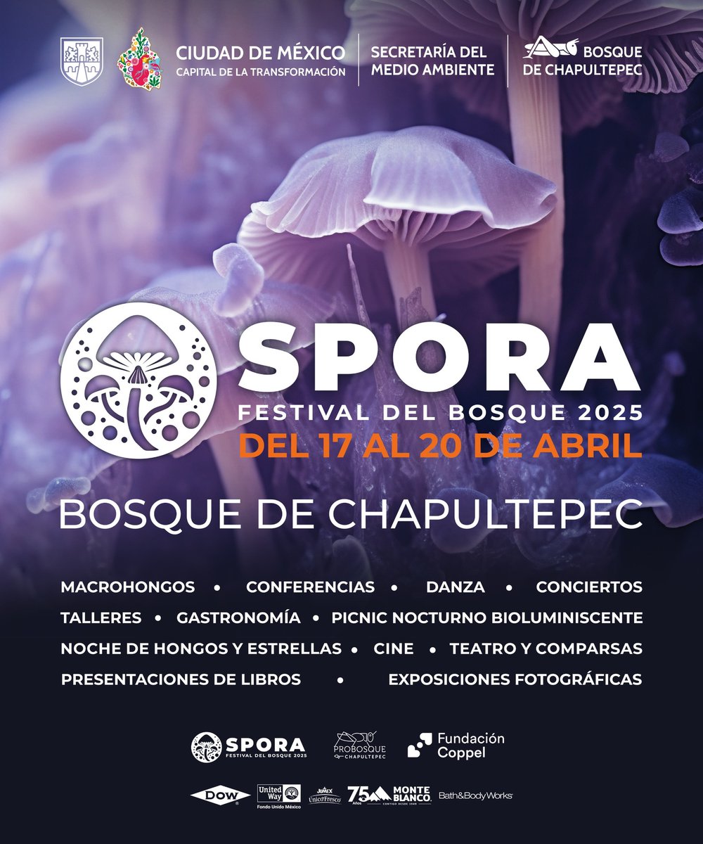Fungi_Cosas's tweet photo. Hoy fui al recorrido exclusivo para medios de comunicación y yo, la micóloga especialista 🤓🍄, al bosque de Chapultepec, para ver los avances en los preparativos para el festival SPORA 🍄‍🟫😯 y también para ver los MACROHONGOS. 

Nomás les digo que se va a poner bueno! 🍄🍄‍🟫 https://t.co/EOqThY9qU7