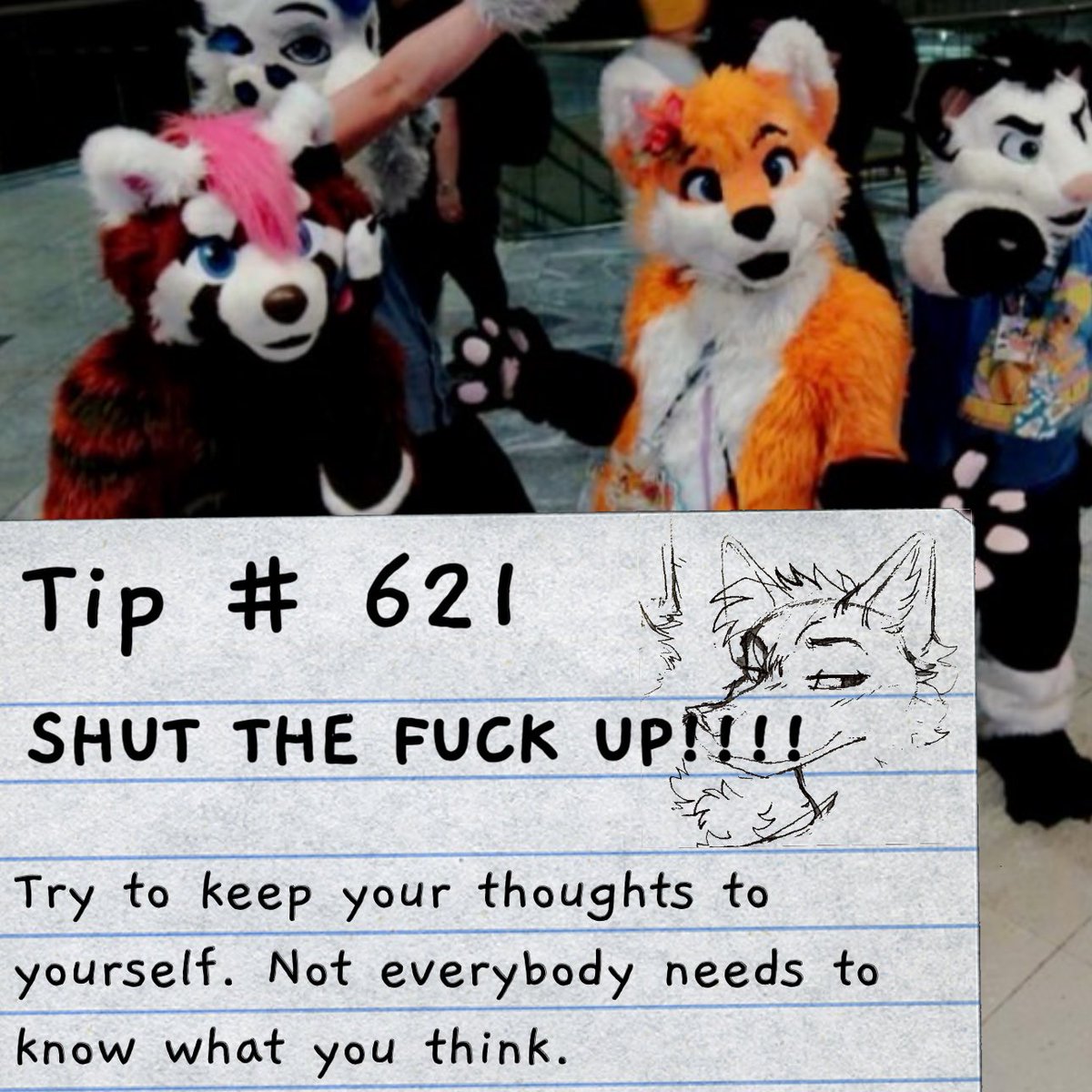 blaze_the_foxx's tweet image. Blaze’s declassified furry fandom survival guide: