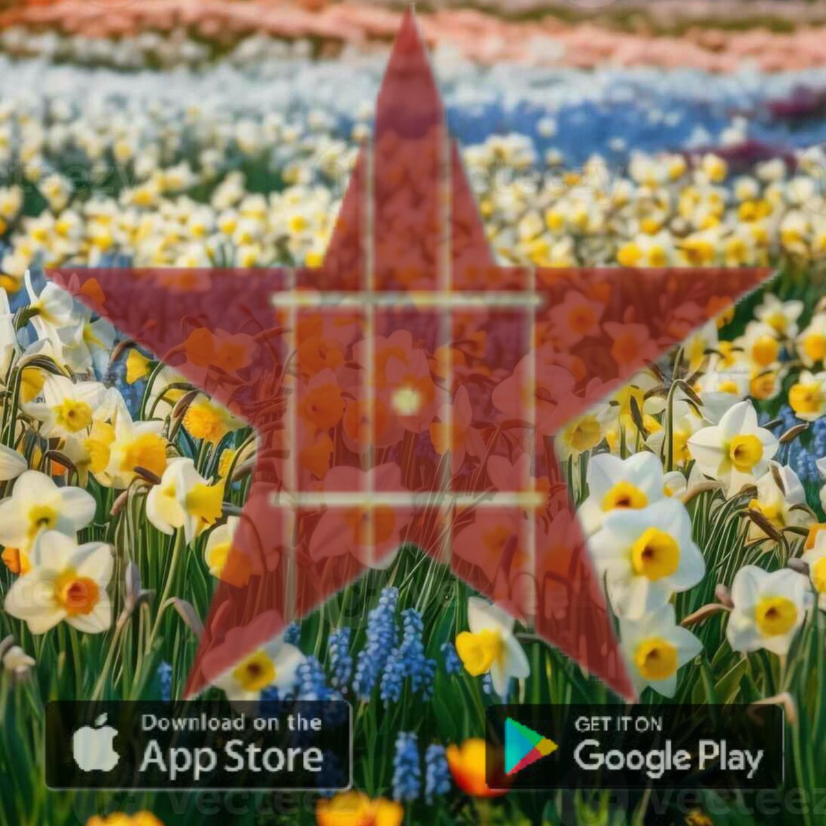 Bluegrass Country tweet media