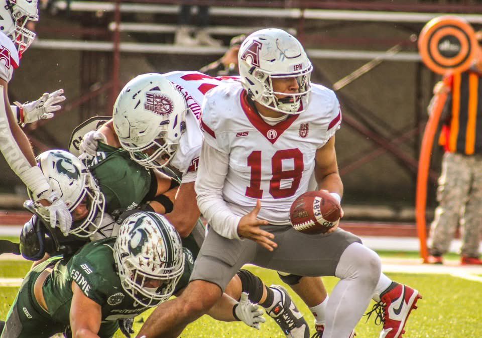 Mundo del Ovoide tweet media