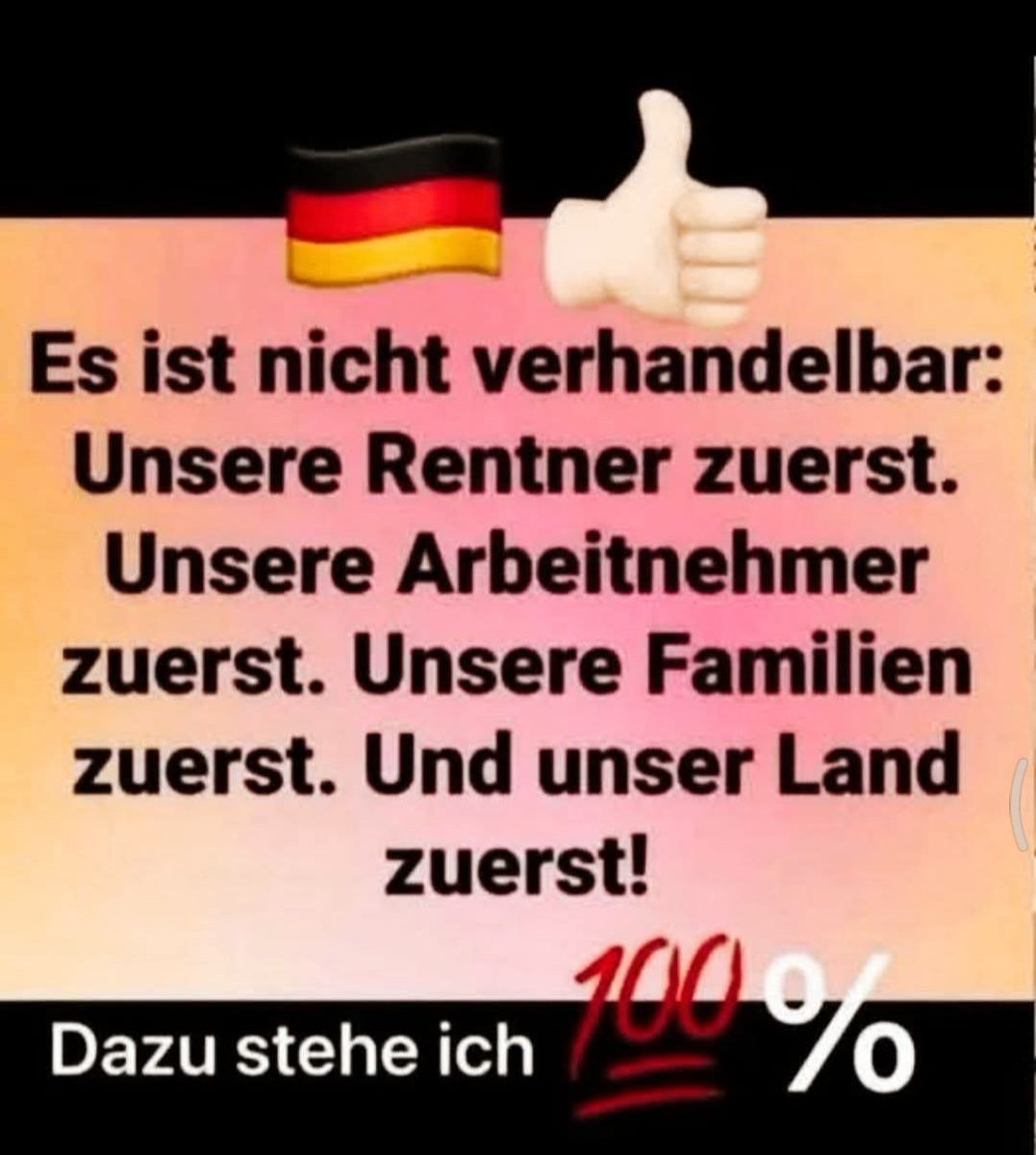 Für unser Land🌏 unsere Zukunft🔮🔮 und🙋‍♀️ das schaffen wir👍 mit der AFD💙💙💙 zusammen