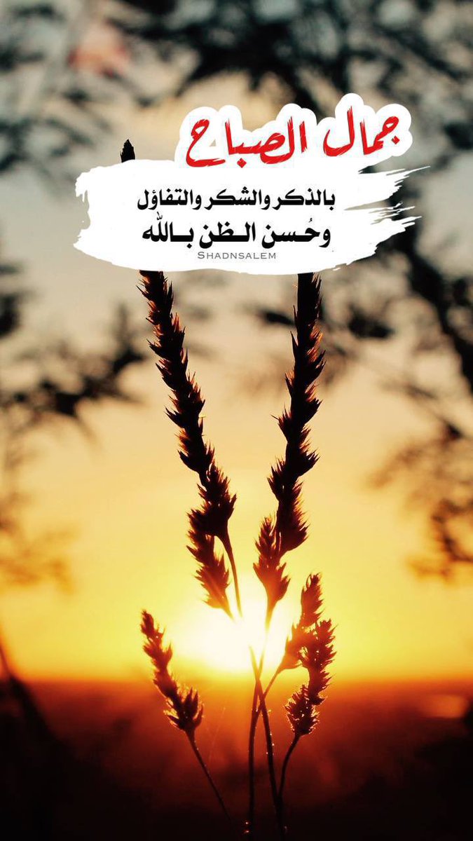 هدوووء الـــ ك ــــون tweet media