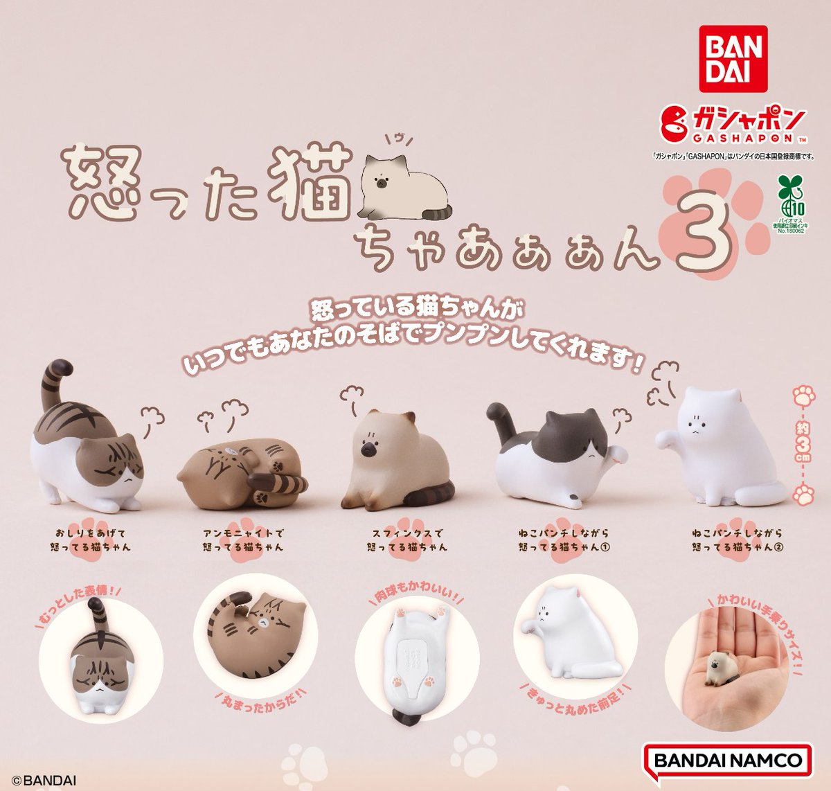 ねこちゃ出品 楽天市場】怒った猫ちゃあぁぁん3 【全5種 コンプリート セット