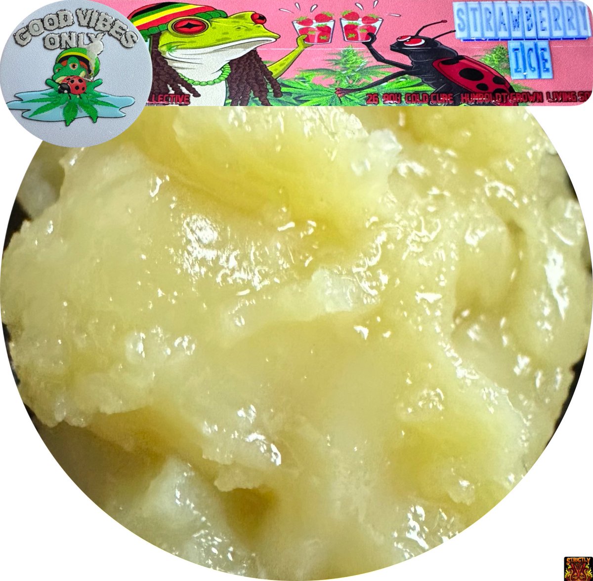 StrictlyOGSocal's tweet photo. #strawberryice #strawguava x #supersilverhaze #fire #flavorful #gas #onlythebest #unique #potent #wet #sweet #sour #candy #collab #drladybug #premium #coldcure #hashrosin #socal #nfs 

Hashmaker

@humboldtirganiccollective 

Our Insta 

@strictlyogsocal
@strictlyogsocal4.0 https://t.co/NBOq1ophBJ