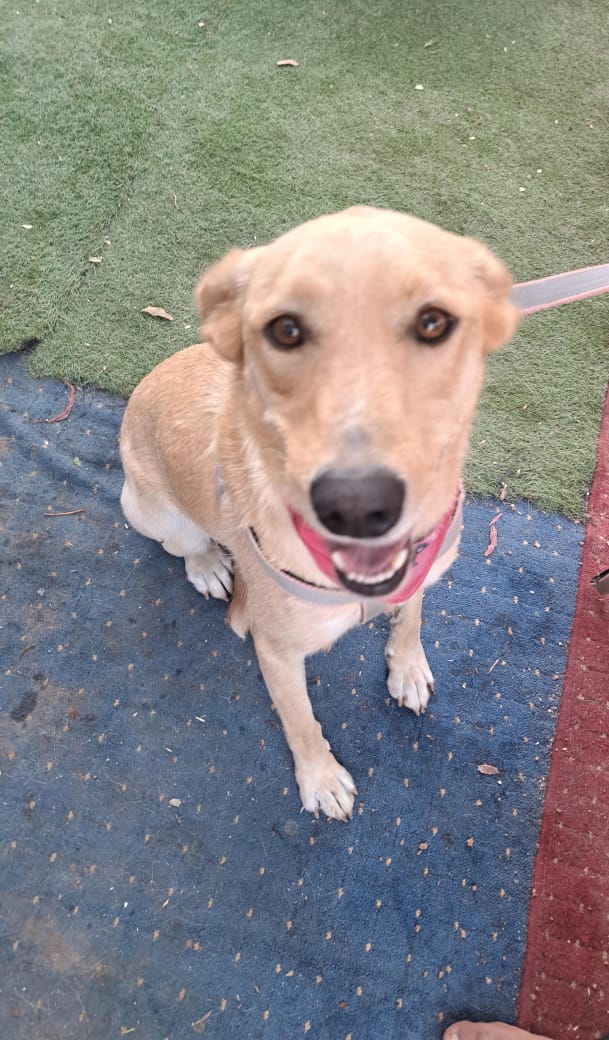 Ximena A.G tweet media