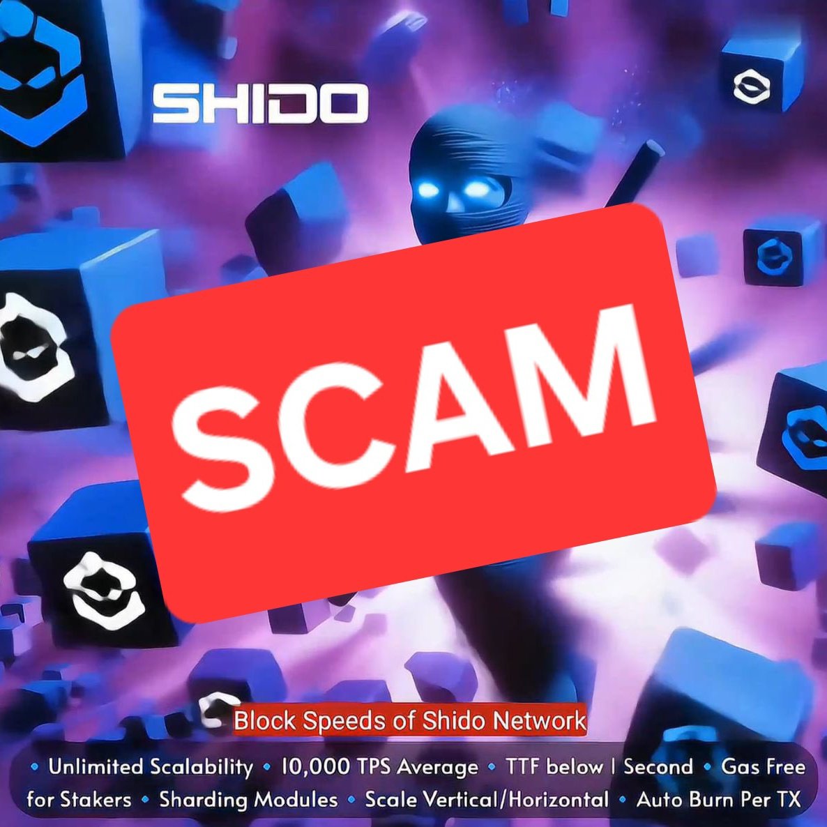 FoxNural's tweet photo. I already told of you all

$shido SCAM PROJECT
@bjornshido is PIG ASS https://t.co/Ked0WiTbME