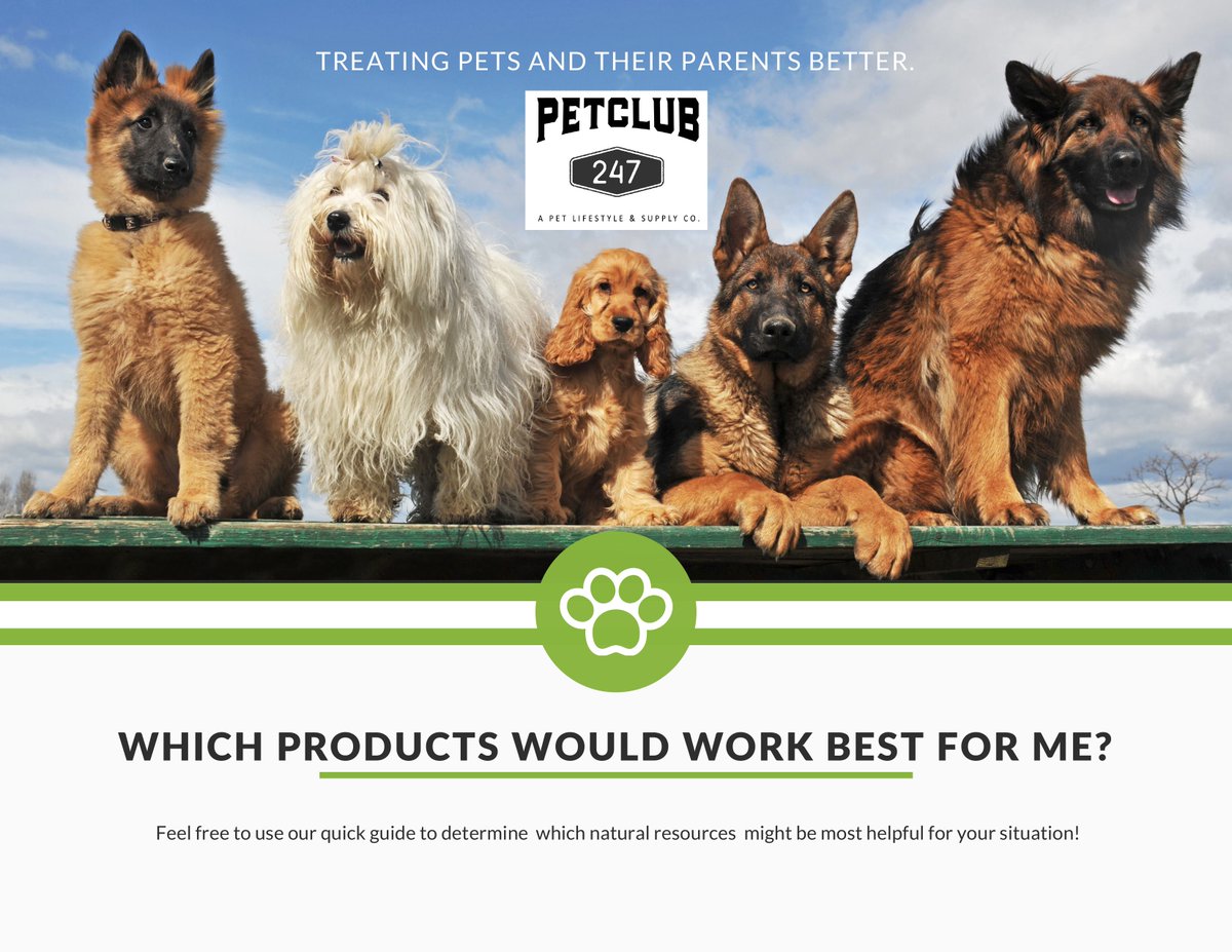 ChloesExoticsWA's tweet photo. Only the BEST for your pets!
https://t.co/I7taJnrqwM https://t.co/bl85WEJ9sw