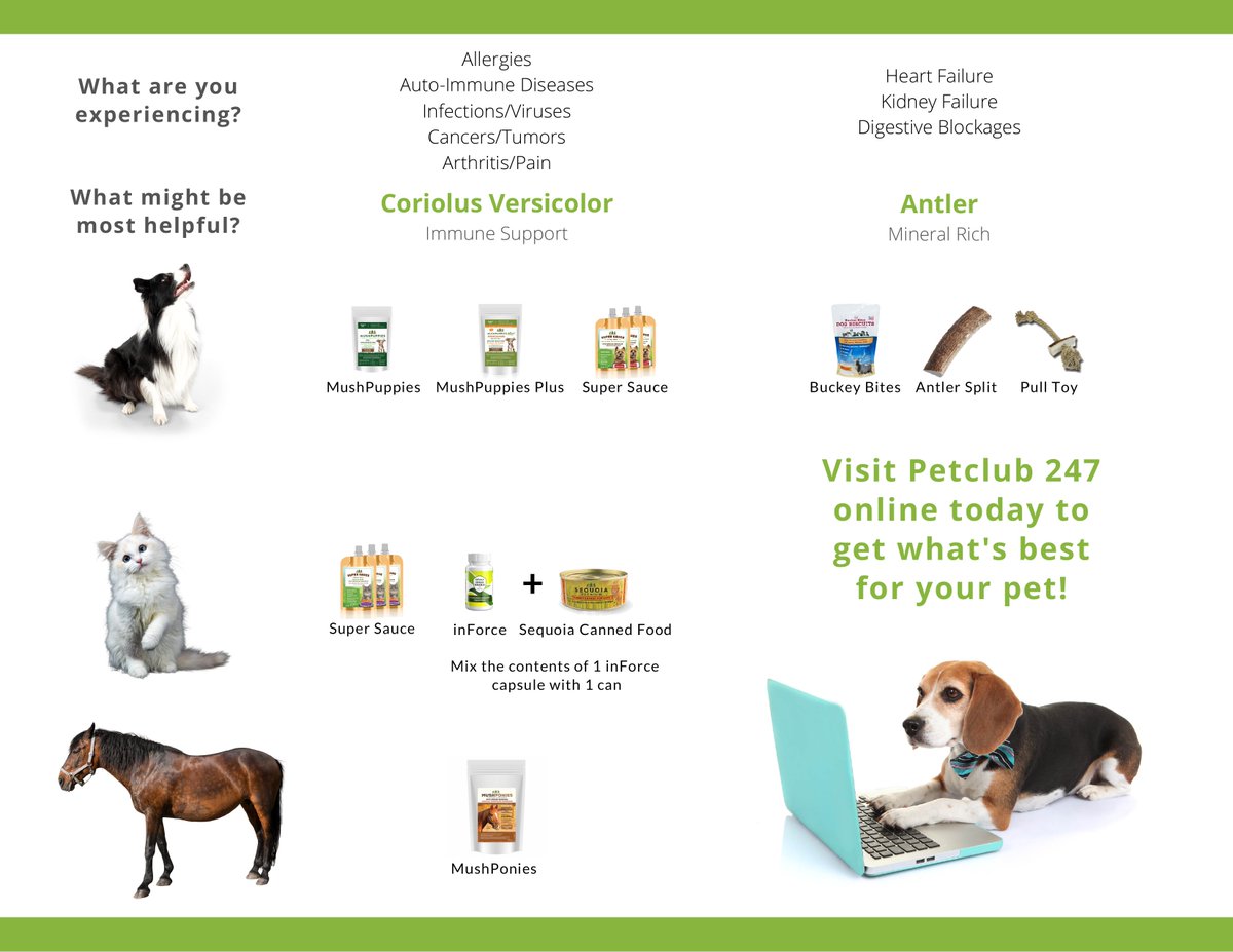 ChloesExoticsWA's tweet photo. Only the BEST for your pets!
https://t.co/I7taJnrqwM https://t.co/bl85WEJ9sw