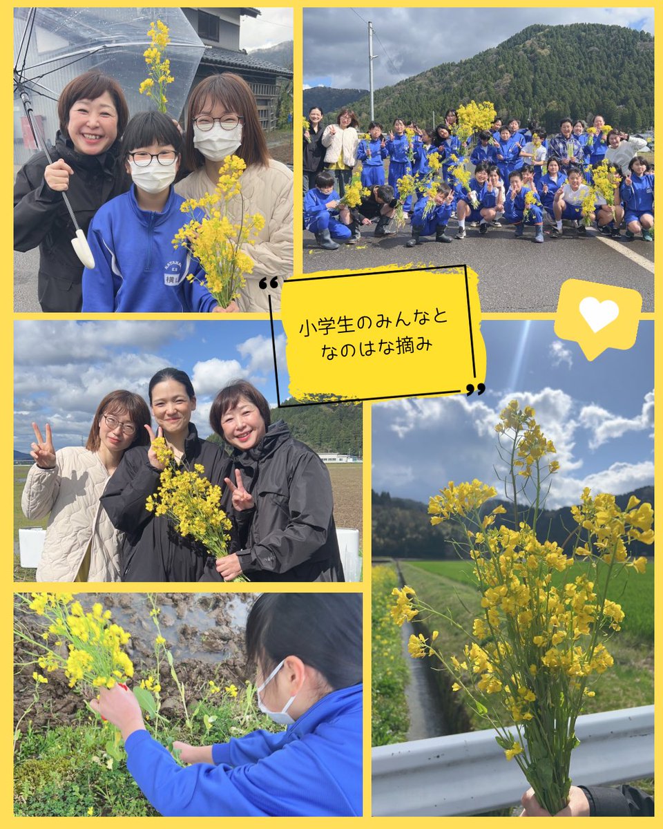 nanohanahoukan's tweet photo. あっという間に4月も半ば。地域の皆さんに支えられ、訪問できる日々に感謝しています。
今朝は地元の小学生と一緒に菜の花摘みを体験させていただきました。子どもたちとのあたたかな交流に心が和み、幸せな朝でした☺️
▼Instagram
https://t.co/xIMVo9y45E https://t.co/W4FpslOZ6t