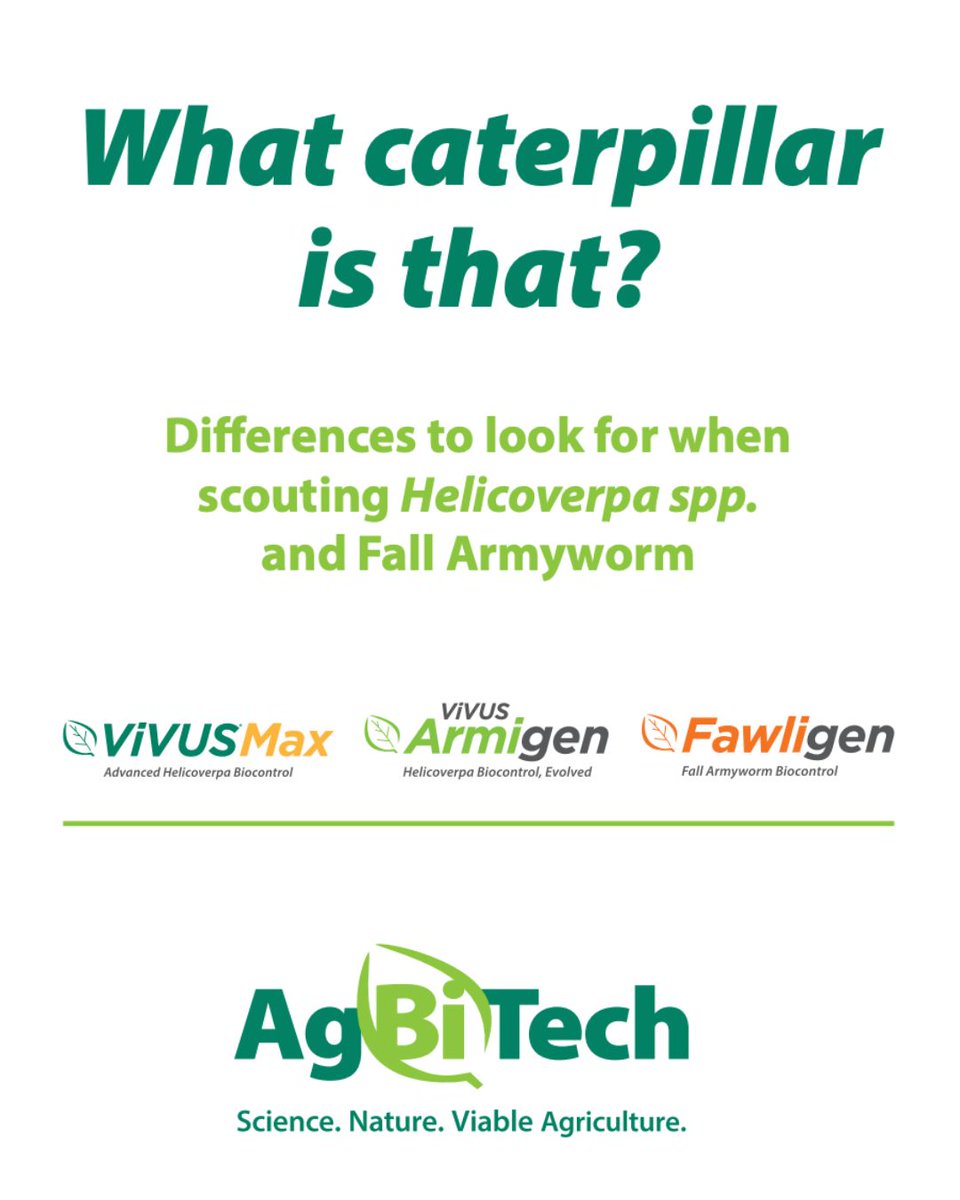 👏 Thank you all for participating in our #caterpillar ID trivia!

Properly identifying pests is key to effective management 🔎 🔑

🐛Want to know more? dig into our updated “What caterpillar is that?” brochure 👉 irp.cdn-website.com/caae7a98/files…