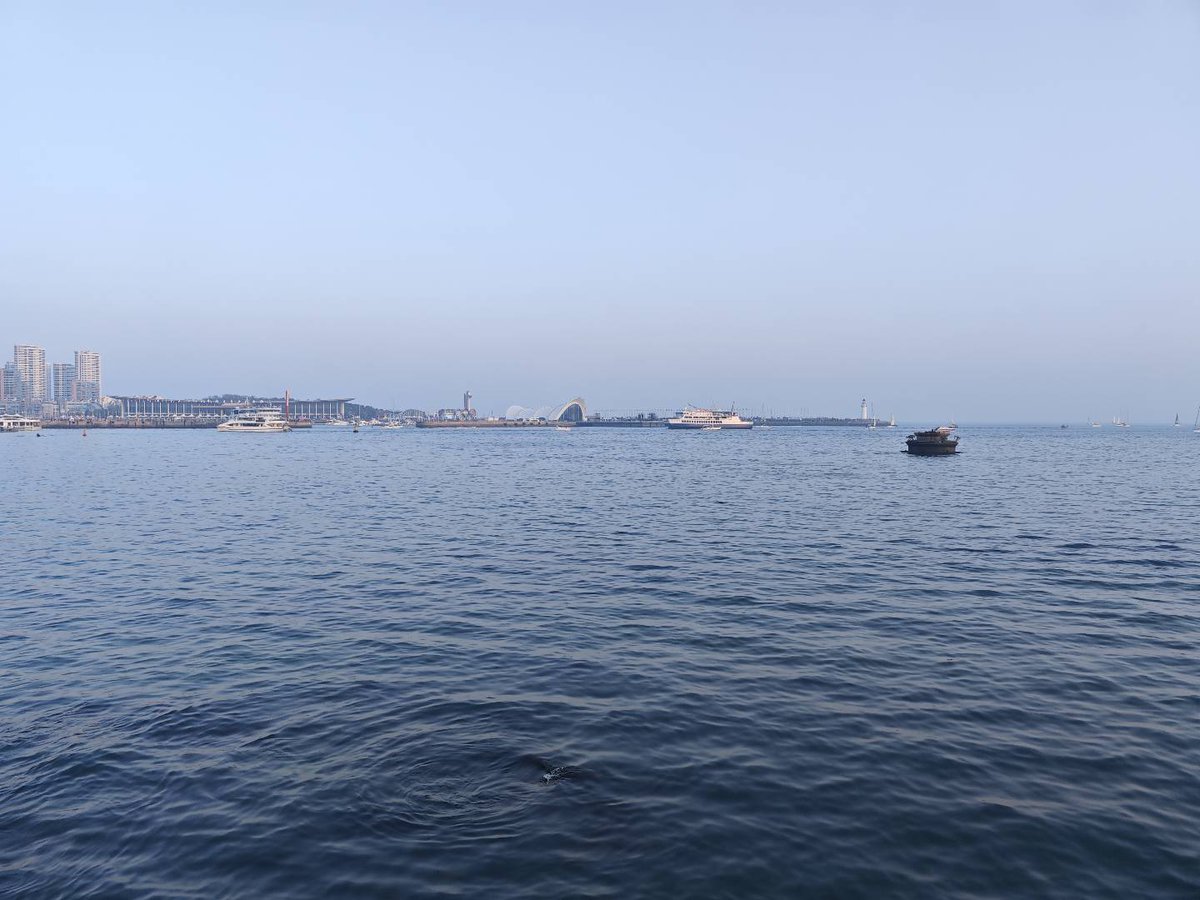 samkesi's tweet image. 我的熊奴在哪里