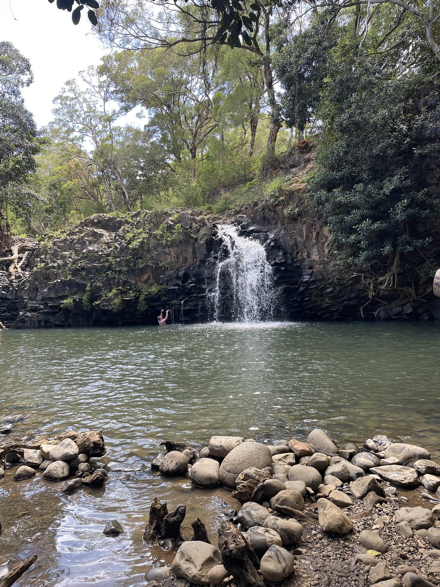 Benji 🐉 💦 APEIRON tweet media