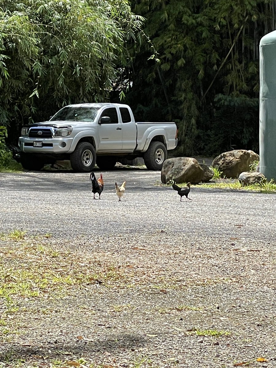 Benji 🐉 💦 APEIRON tweet media