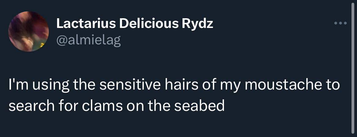 Accidental Bronson tweet media