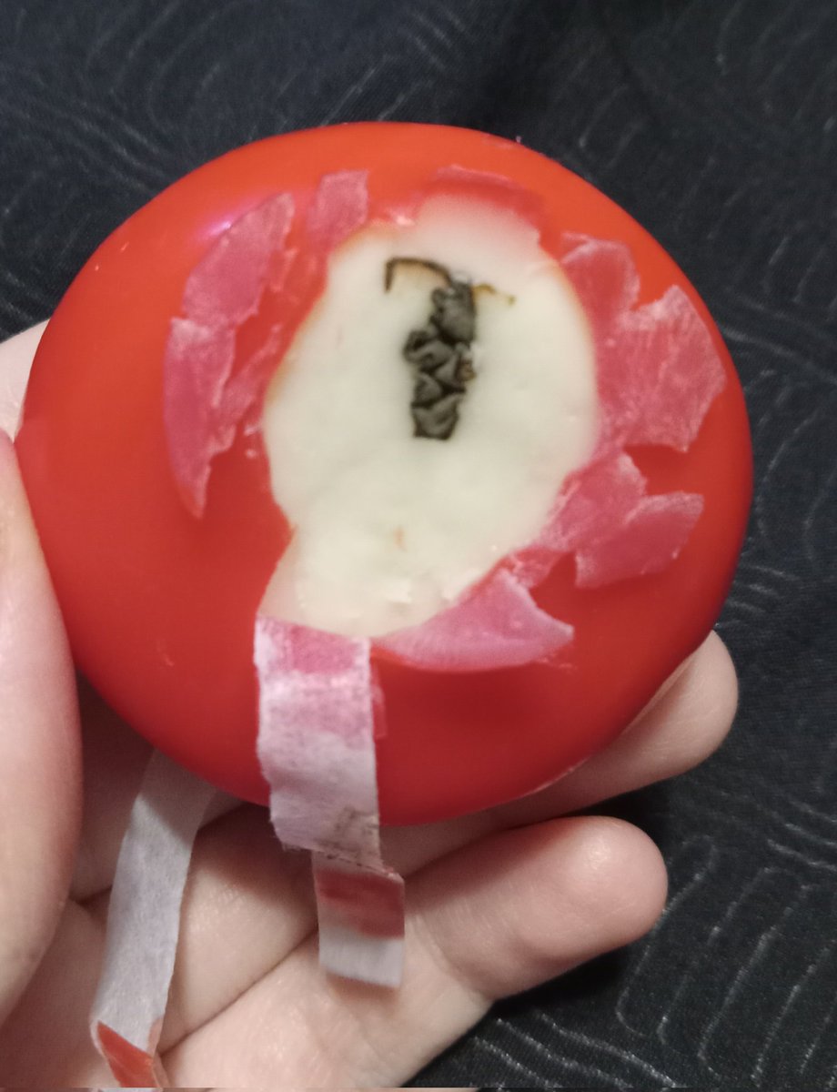 ⋆.·★ ℱₗₒᵣₐ ★·.⋆ tweet media