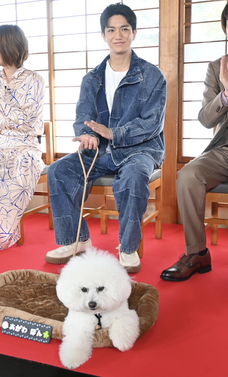 sponichigeinou's tweet photo. Aぇ！group正門　共演の“shioちゃん”を絶賛「名優です。勉強させてもらってます」― スポニチ Sponichi Annex 芸能 
【記事はこちら】
https://t.co/i669DV91g2
 #正門良規💙🎸 #Aぇǃgroup  #ムサシノ輪舞曲 https://t.co/z4SvTsKW1r