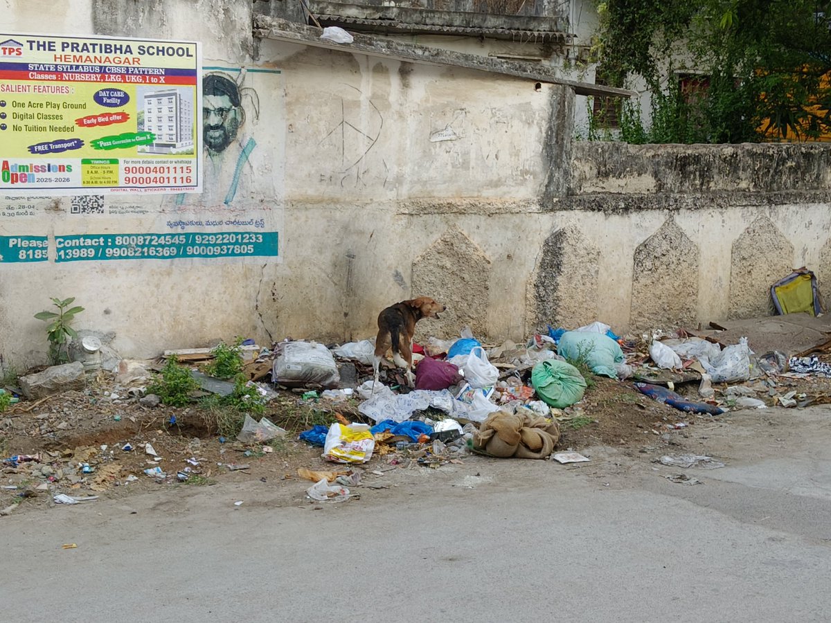 VTR_258's tweet photo. There is a lot of garbage piled up, stray dogs are roaming around, and a foul smell is spreading in the area. It's becoming a serious health concern.Requesting immediate action. @GHMCOnline @CommissionrGHMC @Dc_Ghmc
Address: Chilka nagar, Uppal
https://t.co/RJagCJqRnx https://t.co/LmO7EVfEBi