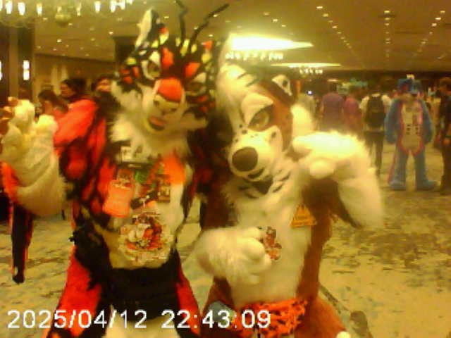 The photos and videos from the baby camera are officially uploaded in their glorious 90’s quality! If you recognize any suiters in here please feel free to tag them, I don’t know most of their socials!

drive.google.com/drive/folders/…

#TFF2025 #TexasFurryFiesta #TFF25