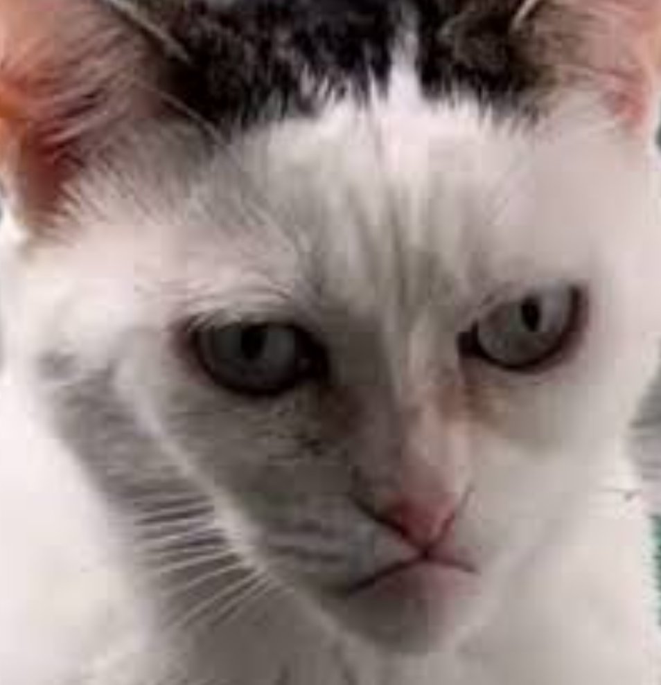 Week-End Day Jumping tweet media