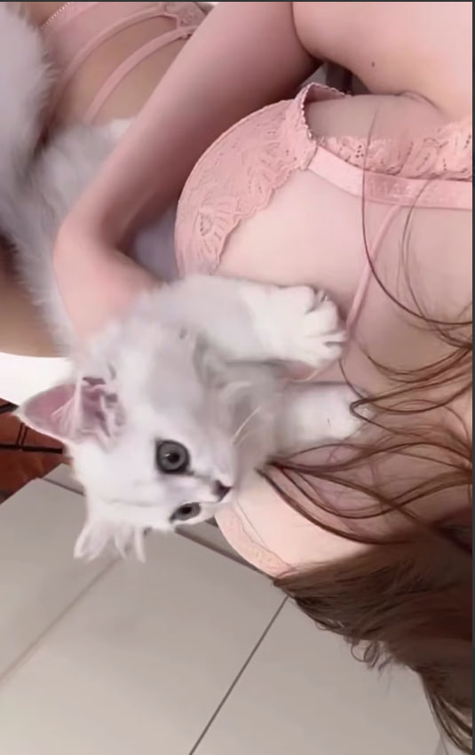 우리 집 고양이 너무 귀여워! 
내가 고양이를 쓰다듬을 때
언제나 나를 기다리고 있는 손길! 
근데… 요즘 자꾸 가슴을 만지락 하시네요ㅎㅎ 
뭐 이런 귀여운 놈 어떻게 거부할 수 있을까요? 
솔직히 동생들 부러운거죠^^
#천안 #아산 #유부녀