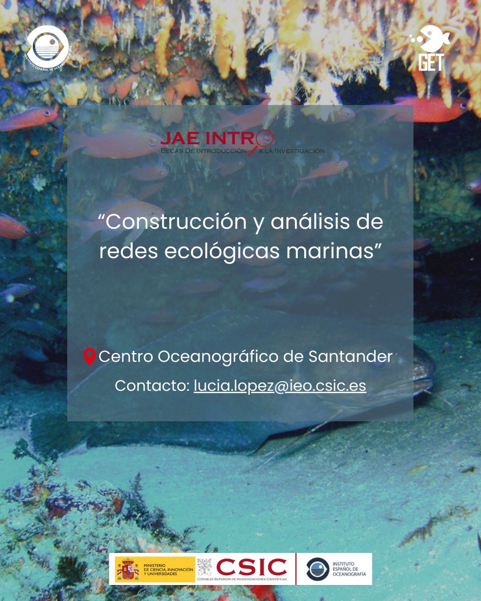 Gran Equipo Trófico tweet media