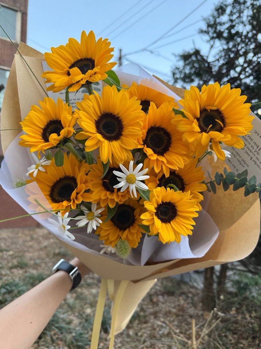 Pablebible's tweet photo. Keep your face to the sunshine and you cannot see the shadow. It's what sunflowers do!May you be bright and strong like a sunflower waiting to bloom again when the sunrises on a new day.Thai fan always love and support you. #KimSooHuyn #wesupportkimsoohyun #WeStandwithKimSooHyun https://t.co/sUbXuiEI02