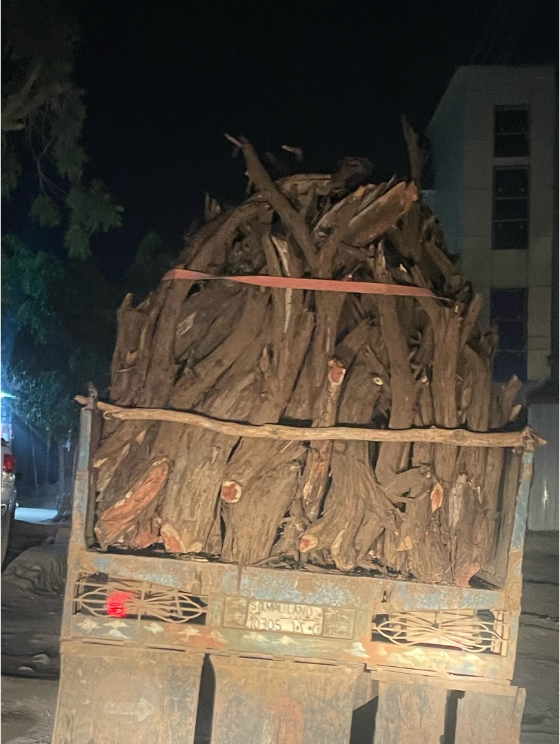 AhmedNMuse's tweet photo. #Dhir ha la beero, se waxa ka mudan in horta inta aynu haysano la badbaadiyo. Sawirkaas #Hargeysa ayaan ku qaaday 2 cisho ka hor, waa sawir dhankasta oo aad kasoo gasho magaalada aad ku arkayso. Imisa geed ayaa halkaas ku baxay? @aiawaleh @Abdirahmanirro @Presidencysl_ @SLMoPND https://t.co/USFU0I0Hoj