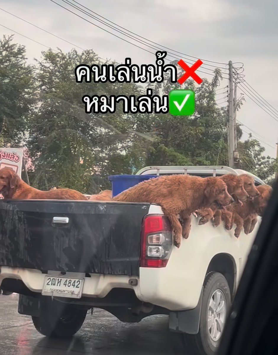 ไก่ทอดเล่นน้ำ