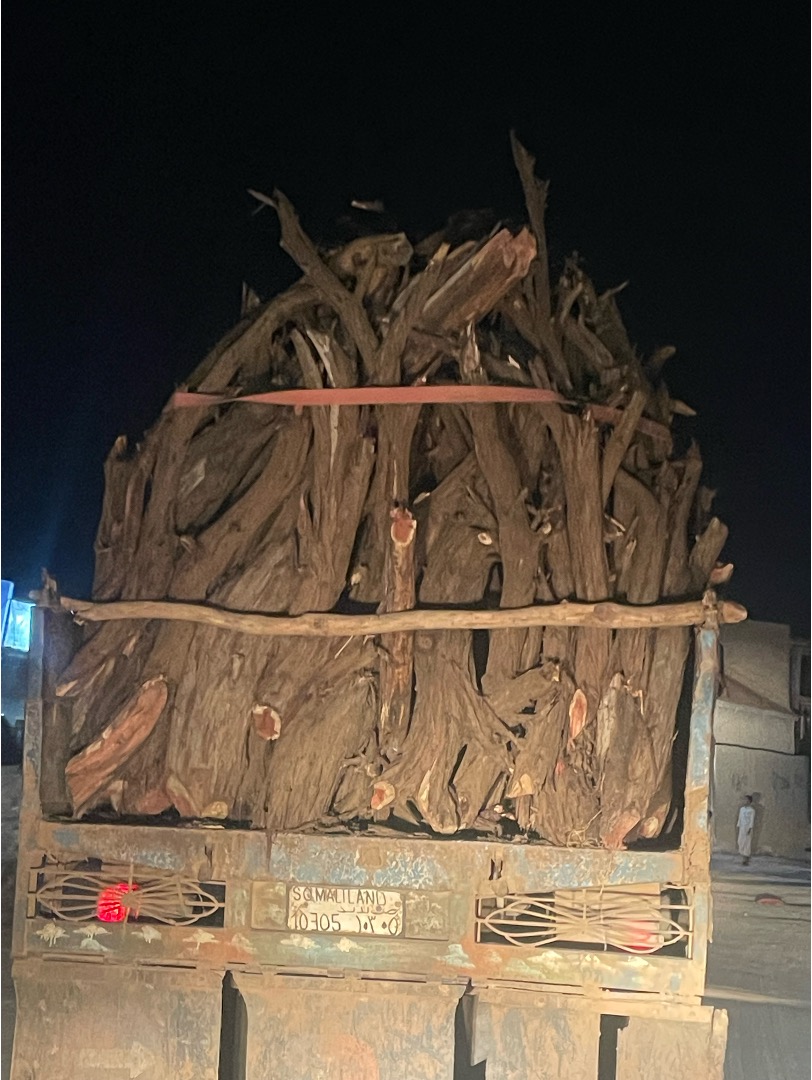 AhmedNMuse's tweet photo. #Dhir ha la beero, se waxa ka mudan in horta inta aynu haysano la badbaadiyo. Sawirkaas #Hargeysa ayaan ku qaaday 2 cisho ka hor, waa sawir dhankasta oo aad kasoo gasho magaalada aad ku arkayso. Imisa geed ayaa halkaas ku baxay? @aiawaleh @Abdirahmanirro @Presidencysl_ @SLMoPND https://t.co/USFU0I0Hoj