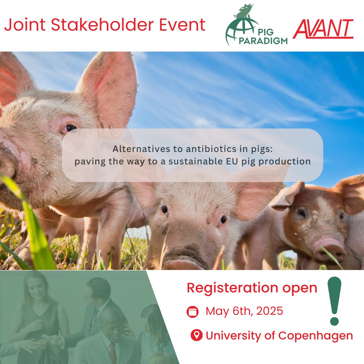 project_avant's tweet photo. 🚨 Registration Alert! 🚨We’re excited to announce that registration is now OPEN for the @project_avant   @pigparadigm Final Joint Stakeholder Event — and there are only a few spots left! 🐷 

This is an in-person only event at @UCPH_Research, and there will be no live broadcast — Join us if you want to be part of the conversation and close the AVANT chapter with us! 

⚠️ Registration is compulsory — so don’t wait to book your seat!
 Register👉https://t.co/16KhdjBqSj

#AVANT #Sustainability #PigFarming #HorizonEurope #EUResearch #Innovation #FinalEvent