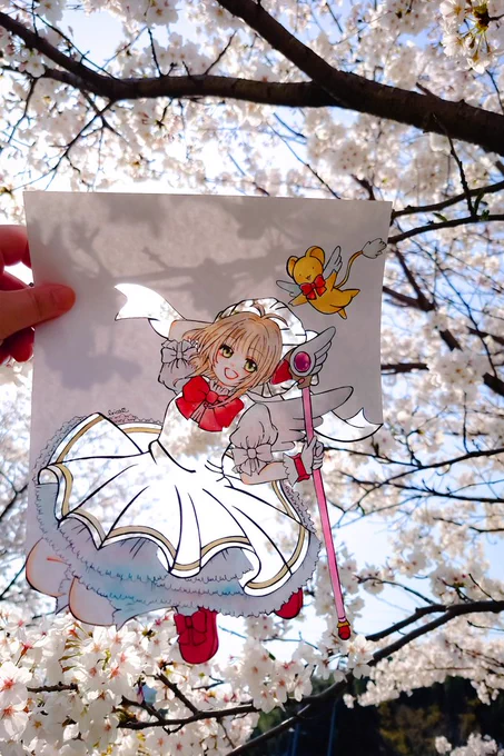 『桜とさくら』今年撮ったさくらちゃんです切り絵ファンアート 